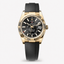 Sky-Dweller Oysterflex yellow gold